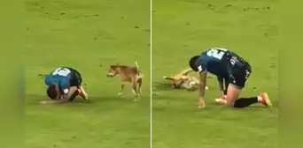 Perrito imita caída de jugador en pleno partido de fútbol y usuarios bromean: "¿Neymar, eres tú?" Perrito imita caída de jugador en pleno partido de fútbol y usuarios bromean: "¿Neymar, eres tú?"