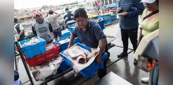 Produce lanza créditos extraordinarios por hasta S/117.700 para pescadores artesanales de pota y perico con 1% y 2% de interés anual Produce lanza créditos extraordinarios por hasta S/117.700 para pescadores artesanales de pota y perico con 1% y 2% de interés anual