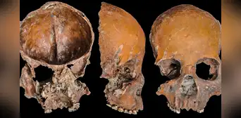 Descubren en China máscaras de esqueletos y copas de cráneo de 5.000 años de antigüedad, según estudio científico Descubren en China máscaras de esqueletos y copas de cráneo de 5.000 años de antigüedad, según estudio científico