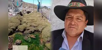 Arequipa: piden declarar emergencia sanitaria tras brote de hepatitis A en distrito de Tauría Arequipa: piden declarar emergencia sanitaria tras brote de hepatitis A en distrito de Tauría