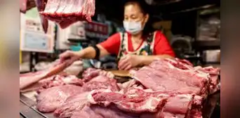 Taiwán sacrifica cientos de cerdos tras detectar sus primeros casos de peste porcina africana
