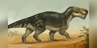 El sorprendente mamífero que dominó la Tierra durante 270 millones de años antes de la aparición de los dinosaurios El sorprendente mamífero que dominó la Tierra durante 270 millones de años antes de la aparición de los dinosaurios
