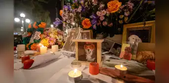Día de las mascotas fallecidas en Perú: ¿qué significa y cómo se vive esta emotiva fecha cada 27 de octubre? Día de las mascotas fallecidas en Perú: ¿qué significa y cómo se vive esta emotiva fecha cada 27 de octubre?