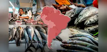 El país de América Latina con mayor producción de pescado del mundo junto a China e Indonesia: supera a EE.UU. en top 5 El país de América Latina con mayor producción de pescado del mundo junto a China e Indonesia: supera a EE.UU. en top 5