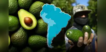 Este país de América Latina es el mayor productor de paltas en el mundo en 2025: Perú, Chile y Colombia buscan superarlo Este país de América Latina es el mayor productor de paltas en el mundo en 2025: Perú, Chile y Colombia buscan superarlo