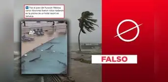 Tiburones no nadaron en piscina en Jamaica durante el paso del huracán Melissa: video fue hecho con IA Tiburones no nadaron en piscina en Jamaica durante el paso del huracán Melissa: video fue hecho con IA