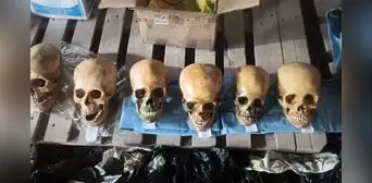 Hombre intentó recoger encomienda con ocho cráneos humanos y fue detenido en Cusco: fiscalía investiga tráfico de bienes culturales Hombre intentó recoger encomienda con ocho cráneos humanos y fue detenido en Cusco: fiscalía investiga tráfico de bienes culturales