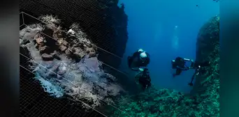 Investigadora latina descubre estructuras sumergidas en Egipto que revelarían pistas sobre dónde está la tumba de Cleopatra Investigadora latina descubre estructuras sumergidas en Egipto que revelarían pistas sobre dónde está la tumba de Cleopatra