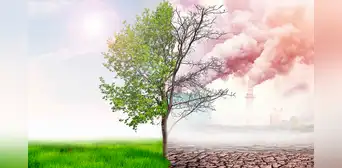 La ONU advierte que el planeta va camino a un devastador calentamiento de 2,5° mientras aumentan los gases de efecto invernadero