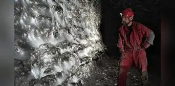 Científicos descubren la telaraña más grande del mundo donde prosperan más de 111.000 arañas en una cueva completamente oscura
