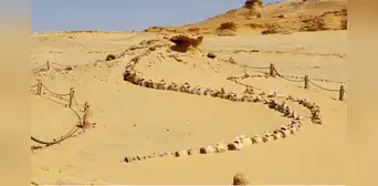 Uno de los lugares más misteriosos del planeta: descubrieron ballenas en el desierto Uno de los lugares más misteriosos del planeta: descubrieron ballenas en el desierto
