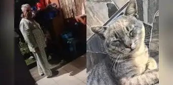 Indignación en La Victoria: hombre causa la muerte de gatito comunitario y piden denunciar a responsable por crueldad animal Indignación en La Victoria: hombre causa la muerte de gatito comunitario y piden denunciar a responsable por crueldad animal