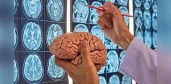 Los científicos revelan el test rápido capaz de detectar el Alzheimer mucho antes de los síntomas Los científicos revelan el test rápido capaz de detectar el Alzheimer mucho antes de los síntomas