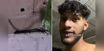 Joven encuentra un ciempiés venenoso en su cuarto y cuenta su terrible experiencia: “Creí que era una cucaracha” Joven encuentra un ciempiés venenoso en su cuarto y cuenta su terrible experiencia: “Creí que era una cucaracha”