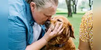 Científicos chilenos descubren que los perros sanos pueden transmitir la E. Coli, bacteria resistente a los antibióticos humanos Científicos chilenos descubren que los perros sanos pueden transmitir la E. Coli, bacteria resistente a los antibióticos humanos