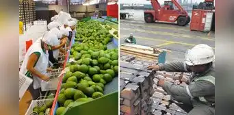 Exportaciones peruanas sumaron US$8.269 millones en septiembre: ¿qué sectores lideraron el crecimiento? Exportaciones peruanas sumaron US$8.269 millones en septiembre: ¿qué sectores lideraron el crecimiento?