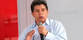 Pedro Castillo puede postular al Senado hasta no tener una condena en su contra o estar inhabilitado