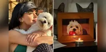 Onelia Molina confiesa arrepentimiento tras sufrir dolorosa pérdida de su mascota: "Te extraño en cada parte de mi vida" Onelia Molina confiesa arrepentimiento tras sufrir dolorosa pérdida de su mascota: "Te extraño en cada parte de mi vida"