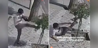 Captan insólita 'pelea' de hombre con árbol en la vía pública y escena es furor en redes: "Encima perdió" Captan insólita 'pelea' de hombre con árbol en la vía pública y escena es furor en redes: "Encima perdió"