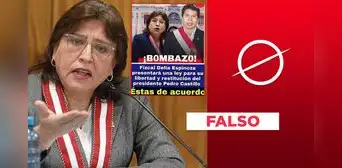 Delia Espinoza no presentó un proyecto ley al Congreso para liberar a Pedro Castillo