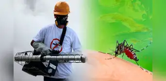 Cuba en alerta sanitaria por más de 47.000 casos de dengue y chikunguña detectados Cuba en alerta sanitaria por más de 47.000 casos de dengue y chikunguña detectados