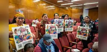 COP30: Perú llega con aumento récord de deforestación y líderes indígenas exigen participación