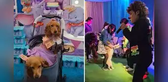 Organizó cumpleaños para sus dos mascotas con show de payasos y causa sensación en TikTok: "La futura generación" Organizó cumpleaños para sus dos mascotas con show de payasos y causa sensación en TikTok: "La futura generación"