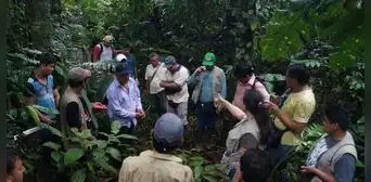 Más de 1 millón de hectáreas de bosque evitaron ser deforestadas gracias a certificación Más de 1 millón de hectáreas de bosque evitaron ser deforestadas gracias a certificación