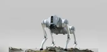 ¿Qué puede hacer el Go2, el perro robot que promete revolucionar la seguridad en el Perú?