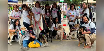 Adoptatón 2025: el festival que busca dar un nuevo comienzo a más de 100 animales rescatados Adoptatón 2025: el festival que busca dar un nuevo comienzo a más de 100 animales rescatados
