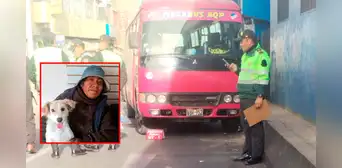 Mujer que rescataba animales pierde la vida tras ser atropellada en Arequipa Mujer que rescataba animales pierde la vida tras ser atropellada en Arequipa