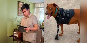Joven ingeniero y talento de Beca 18 crea prótesis 3D para animales en situación vulnerable en el Perú Joven ingeniero y talento de Beca 18 crea prótesis 3D para animales en situación vulnerable en el Perú