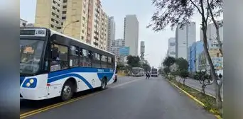 Tráfico en Lima hoy EN VIVO: reportes de congestión, choques y estado de las principales vías