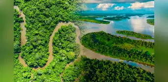 El río más profundo del mundo no es el Nilo ni el Amazonas: alcanza hasta 220 metros y alberga varias especies de peces sin ojos El río más profundo del mundo no es el Nilo ni el Amazonas: alcanza hasta 220 metros y alberga varias especies de peces sin ojos