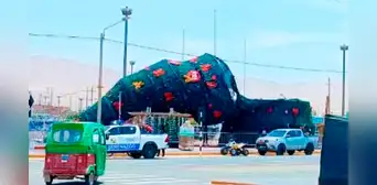 Moquegua: fuertes vientos derriban árbol navideño más alto de la región en Ilo Moquegua: fuertes vientos derriban árbol navideño más alto de la región en Ilo