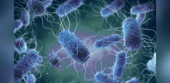 Aumentan las superbacterias resistentes a antibióticos: microbióloga advierte sobre la automedicación y mal uso de fármacos