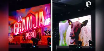 Panamericana TV lanza ‘La granja VIP Perú’, reality donde 18 famosos deberán trabajar la tierra y vivir sin lujos Panamericana TV lanza ‘La granja VIP Perú’, reality donde 18 famosos deberán trabajar la tierra y vivir sin lujos