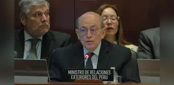 Canciller sustenta ante la OEA posición de Perú sobre asilo: "Se ha distorsionado por sesgos ideológicos"