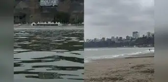 Alertan presencia de olores y residuos en playa Los Yuyos de Barranco: autoridades investigan posible contaminación por petróleo Alertan presencia de olores y residuos en playa Los Yuyos de Barranco: autoridades investigan posible contaminación por petróleo