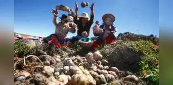 La cultura alimentaria indígena emerge como respuesta ante una inseguridad alimentaria que golpea a 17 millones de peruanos