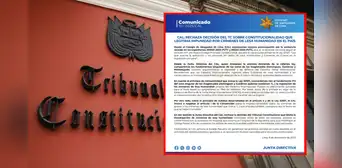 CAL rechaza decisión del TC y alerta sobre impunidad en crímenes de lesa humanidad: "Limita la investigación" CAL rechaza decisión del TC y alerta sobre impunidad en crímenes de lesa humanidad: "Limita la investigación"
