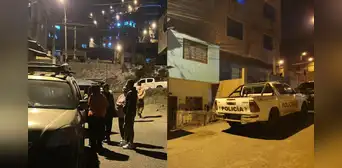 Bebé de 11 meses muere tras ser atacado por dos perros en San Juan de Lurigancho