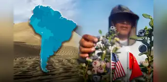 El desierto de América Latina que se terminó convirtiendo en proveedora principal de alimentos de EE.UU., China y Europa