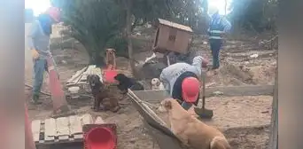 Alarma por presunta crueldad animal en la Villa Panamericana: denuncian riesgo para los perros de la Villa Canina Lima 2019 Alarma por presunta crueldad animal en la Villa Panamericana: denuncian riesgo para los perros de la Villa Canina Lima 2019