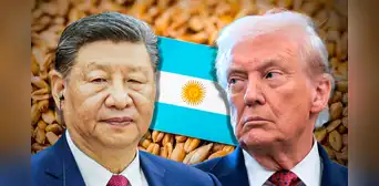 China desafía a EE.UU. y compra 65.000 toneladas de trigo argentino por primera vez en décadas mientras Milei baja aranceles