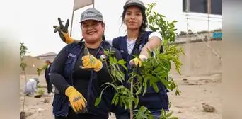 RSAUP 2025: conoce las 3 universidades que lideran en sostenibilidad ambiental