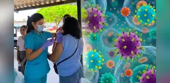 Gripe H3N2 Subclado K en Perú: cómo diferenciarla de una gripe común y cuándo preocuparse Gripe H3N2 Subclado K en Perú: cómo diferenciarla de una gripe común y cuándo preocuparse