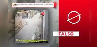 Este video sí muestra a un ciudadano defendiéndose de un ladrón, pero ocurrió hace 7 años y no en Perú