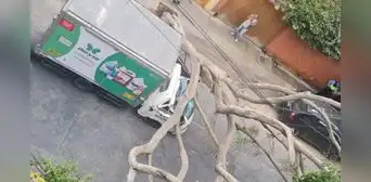 Árbol de gran tamaño aplasta cabina de camión y deja herido a chófer y copiloto en Miraflores Árbol de gran tamaño aplasta cabina de camión y deja herido a chófer y copiloto en Miraflores