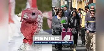 Pavo, Guirnalda, Duende y Brindis: Reniec publica lista de nombres de peruanos inspirados en la Navidad Pavo, Guirnalda, Duende y Brindis: Reniec publica lista de nombres de peruanos inspirados en la Navidad